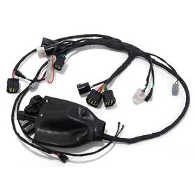 Brisunshine Pri60wqbhkn Full Main Wire Wiring Harness Assembly For Electric Bikes