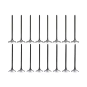 Vk16216 Dnj Exhaust Intake Valve Kit For 2002-2012 Acura Honda Accord Civic