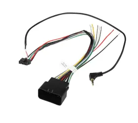 70-9800 Yongjiangxia Stereo Wire Harness 1998-2013 Harley Davidson Aftermarket 70-9800 Yongjiangxia Stereo Wire Harness 1998-2013 Harley Davidson Aftermarket