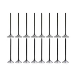 VK16216 Exhaust Intake Valve Kit For 2002-2012 Acura, Honda Accord, Civic, Cr New. Price: $227.98.