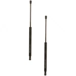 SET-TRWTSG329038-2 Hood Lift Supports Of Driver & Passenger Side Pair New. Price: $63.53.