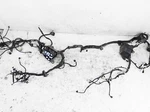 2019 Toyota RAV4 Le 2.5L Fwd Engine Room Fuse Box Wiring Harness 82111-4AY30 Used. Price: $854.05.