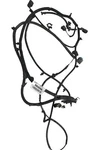 2014-2017 Ford Transit Connect Rear Lower Wire Harness Oem Used. Price: $38.40.