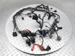 2023 Cf Moto 450SS Main Engine Wiring Harness Wire Loom Cable Used. Price: $142.25.