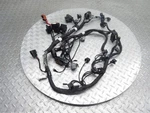 2024 Cf Moto 450SS Main Engine Wiring Harness Wire Loom Cable Oem Used. Price: $139.49.
