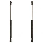 SET-TRWTSG401030-2 Hood Lift Supports Of Driver & Passenger Side Pair New. Price: $52.31.